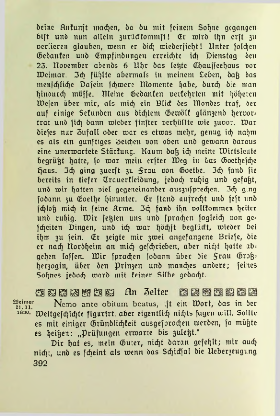Страница 393