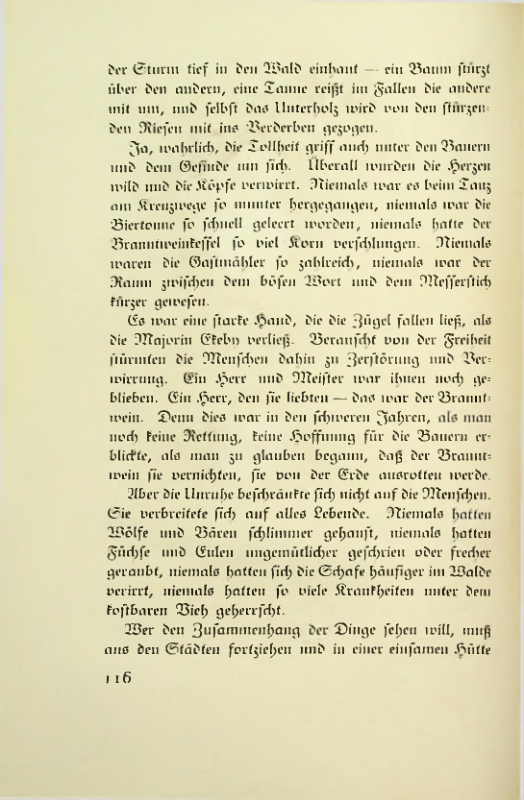 Страница 119