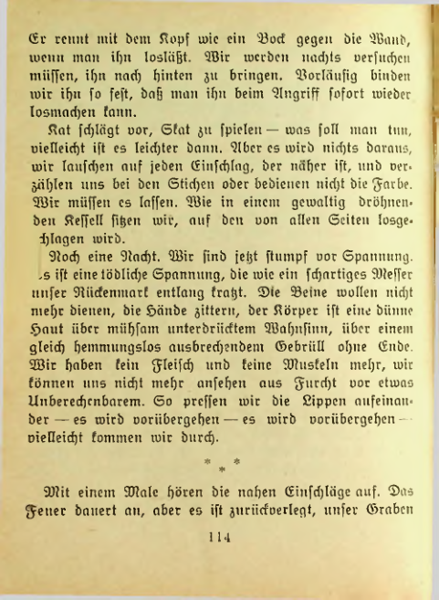 Страница 113