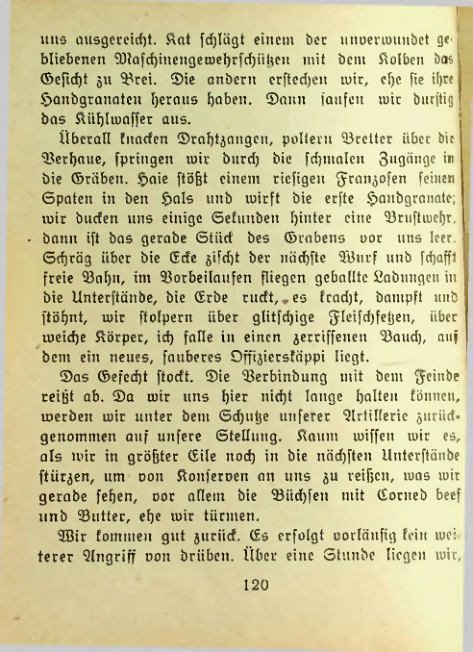 Страница 119