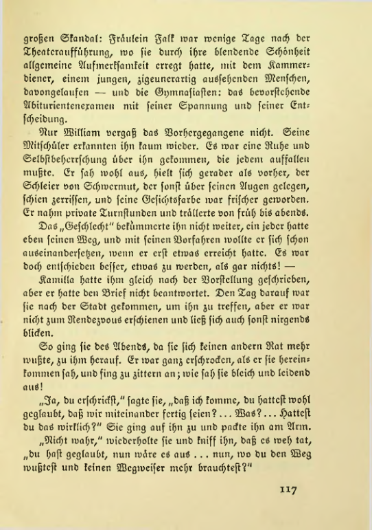 Страница 117