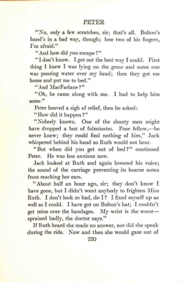 Страница 228