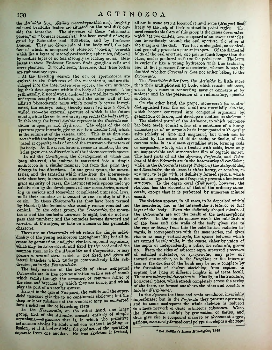 Страница 137