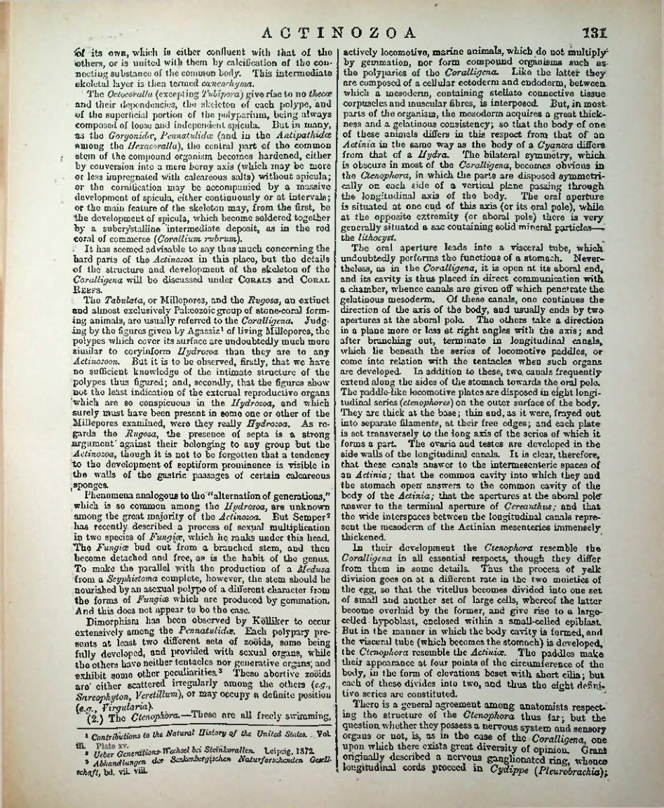 Страница 138