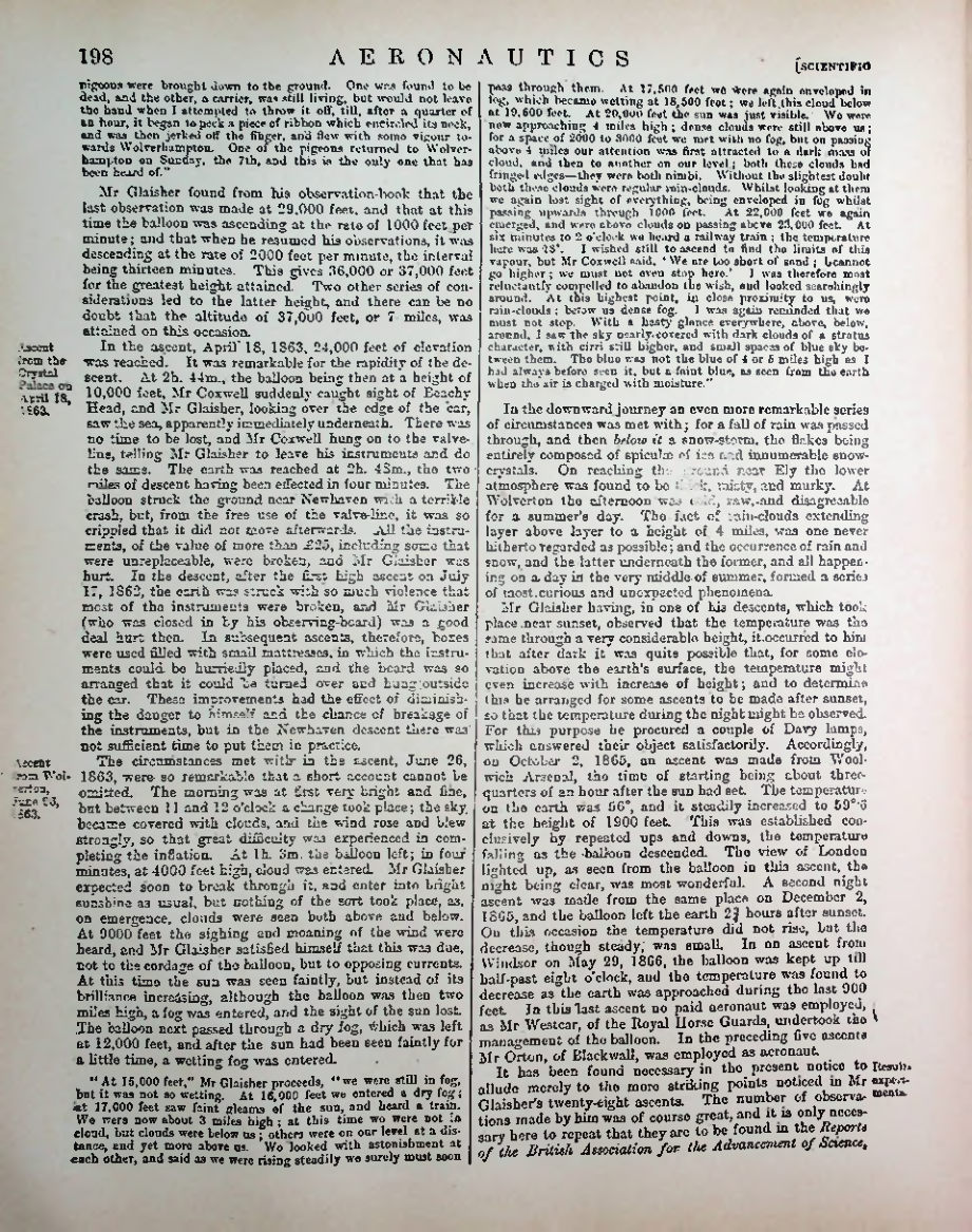 Страница 206