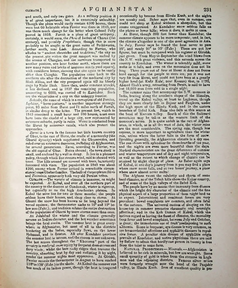 Страница 239