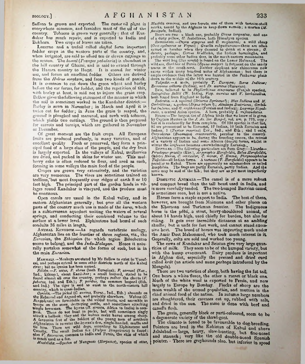 Страница 241
