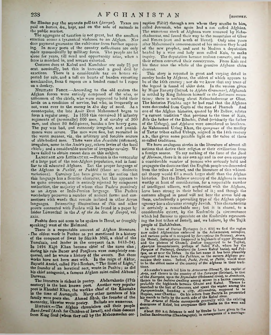 Страница 246