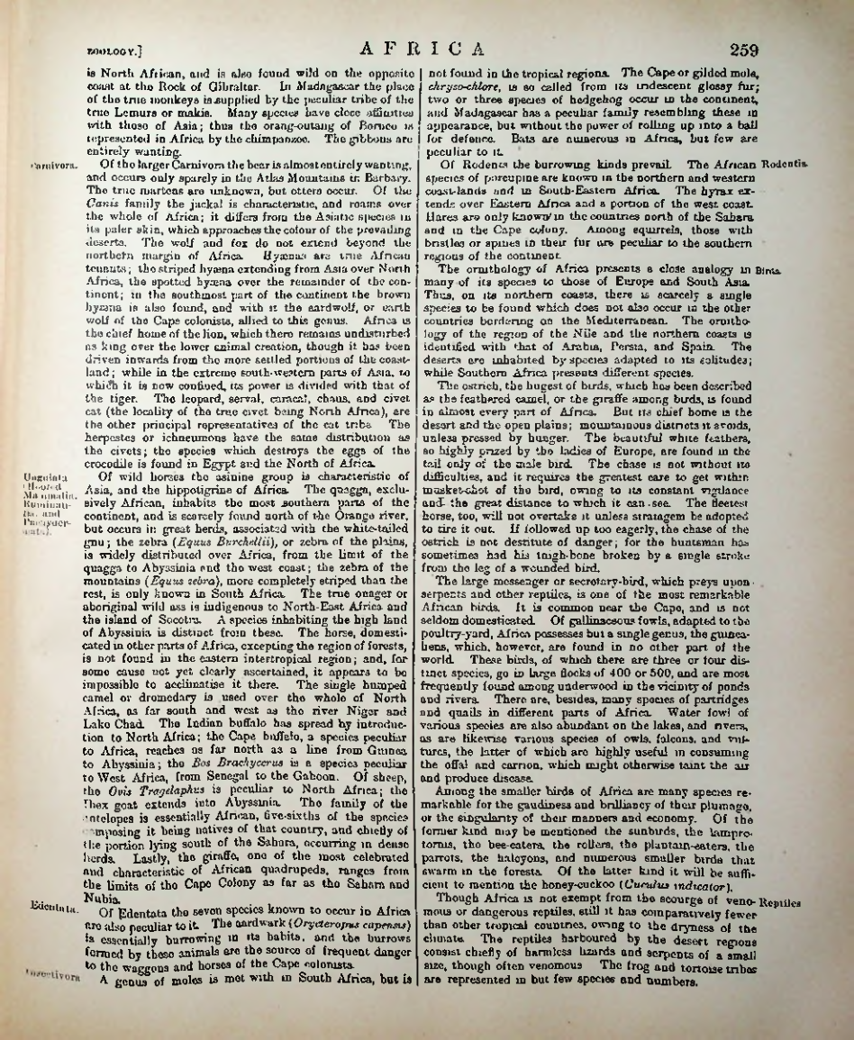 Страница 268