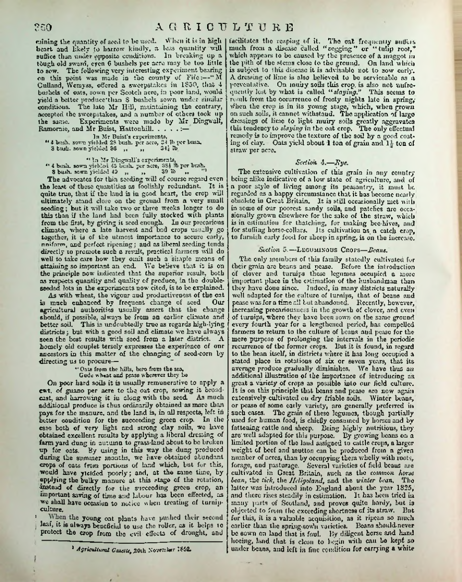 Страница 371