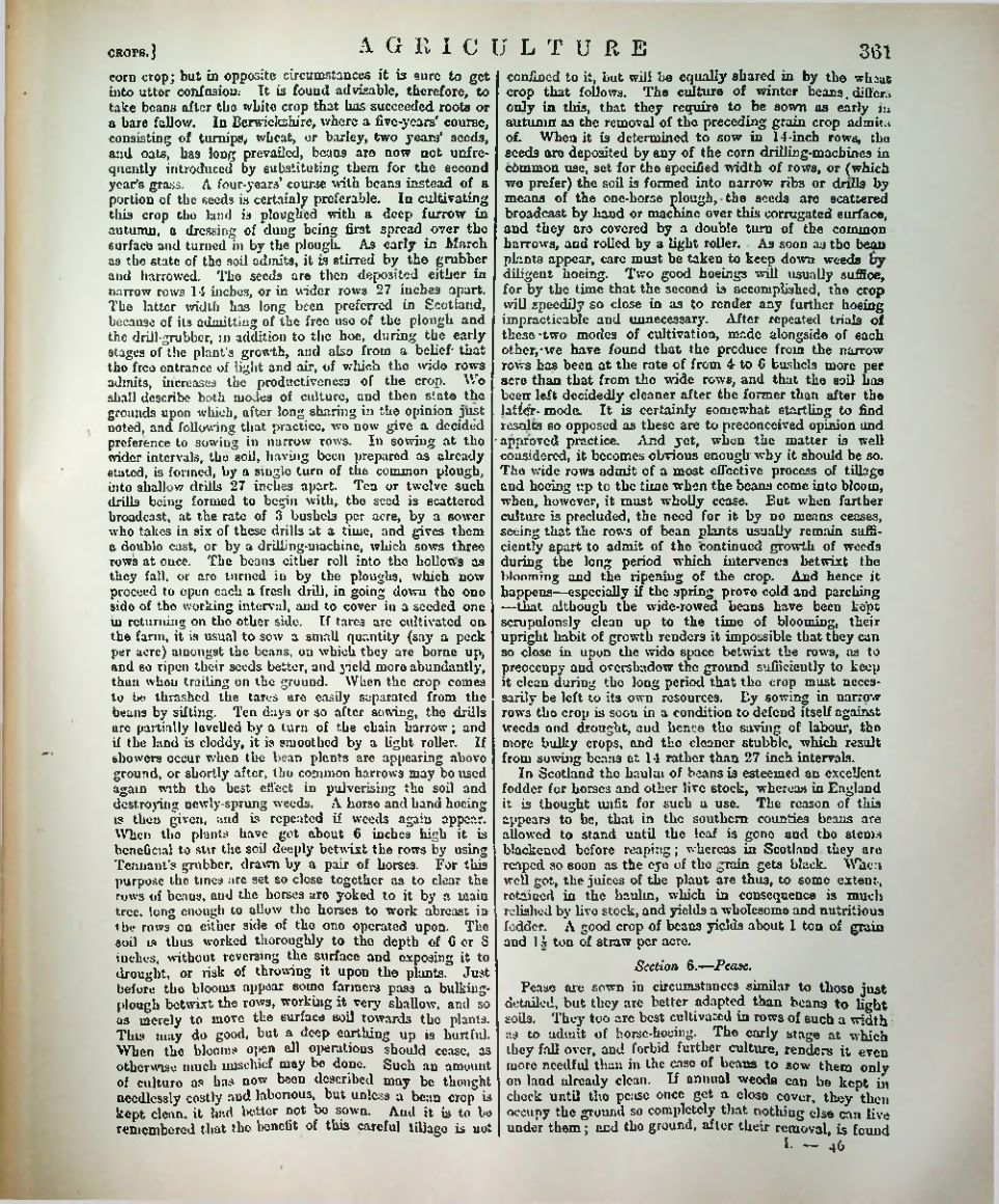 Страница 372