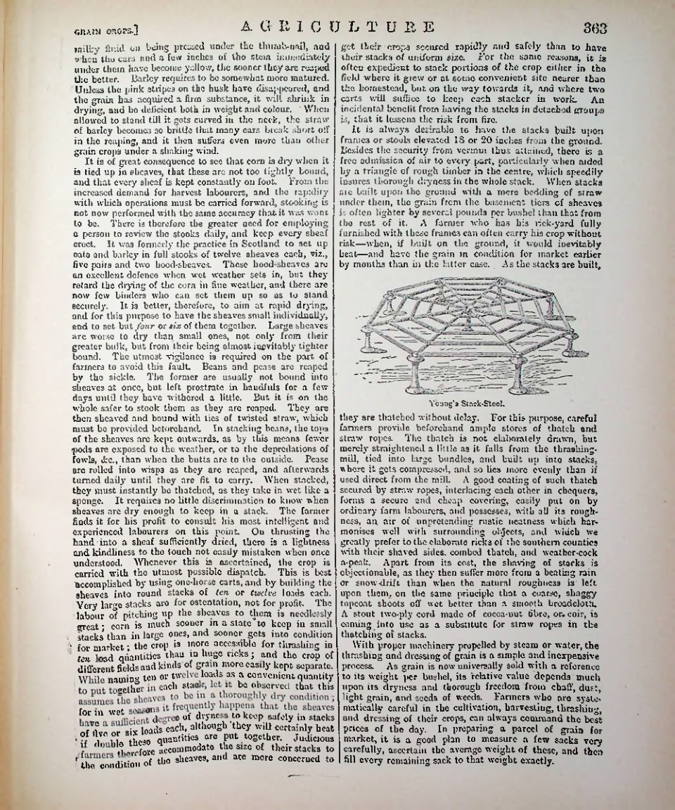 Страница 374