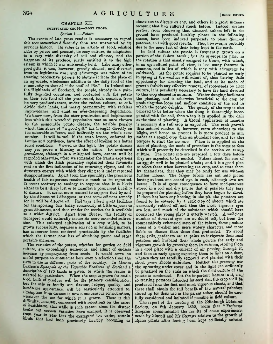 Страница 375