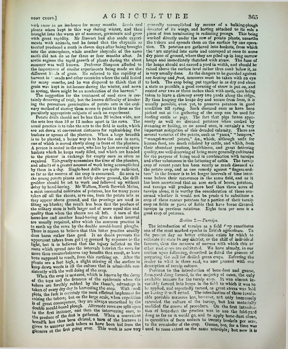 Страница 376