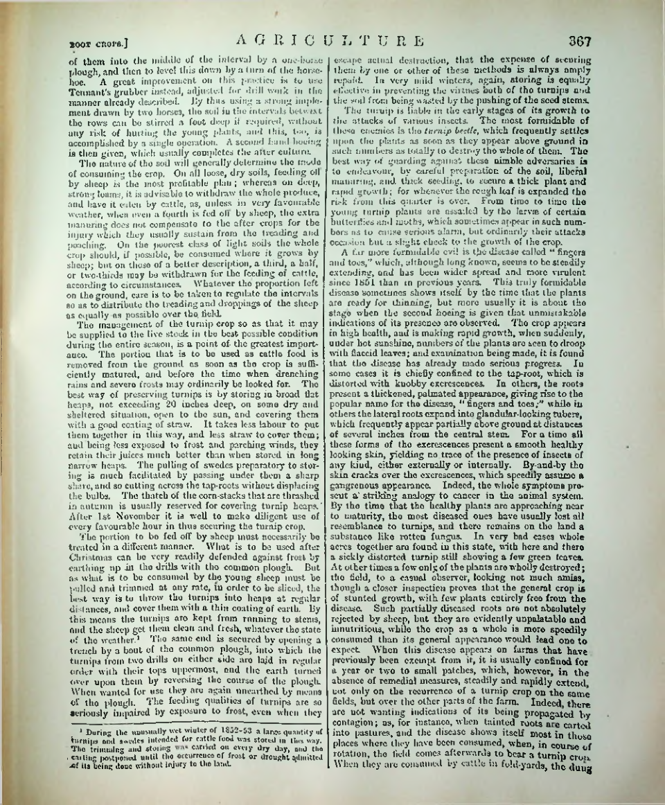 Страница 378