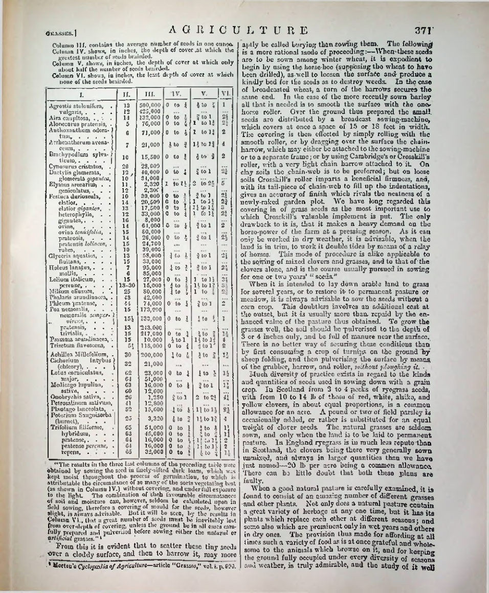 Страница 382