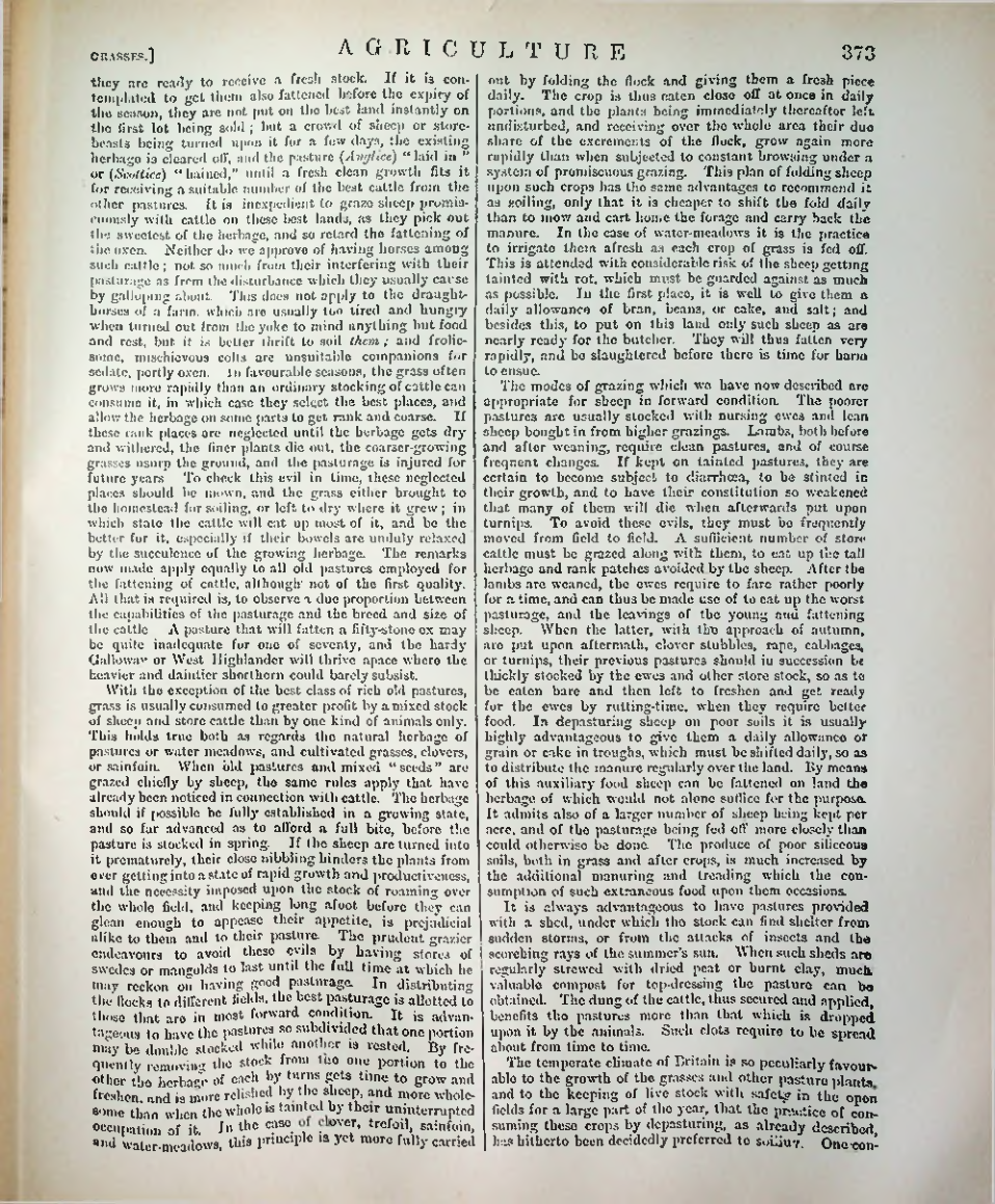Страница 384
