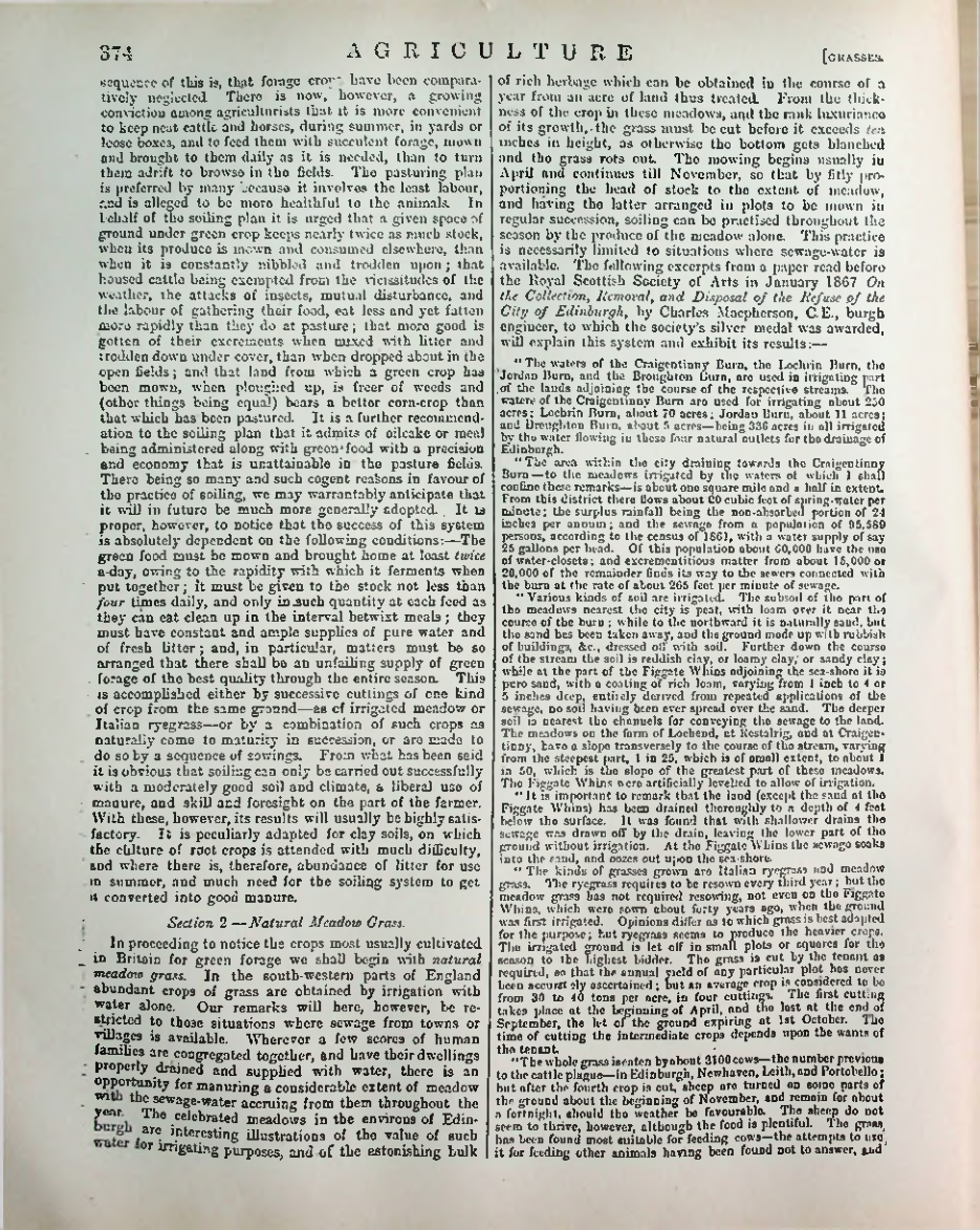 Страница 385