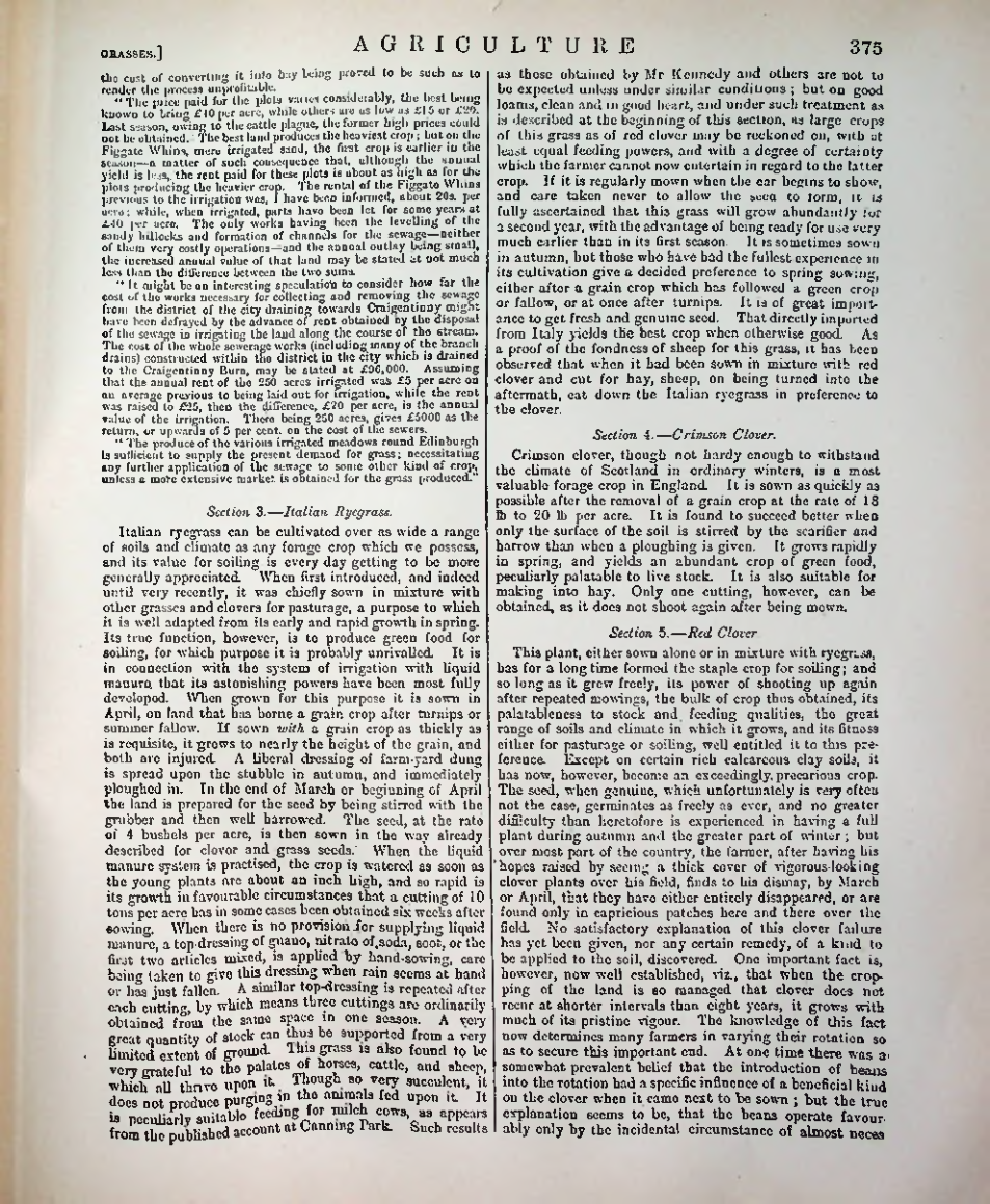 Страница 386
