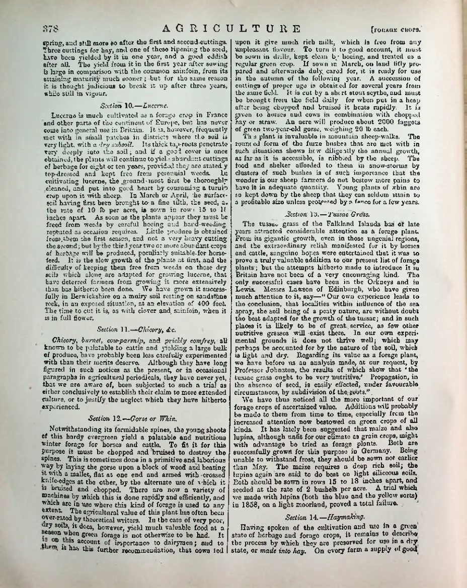 Страница 389