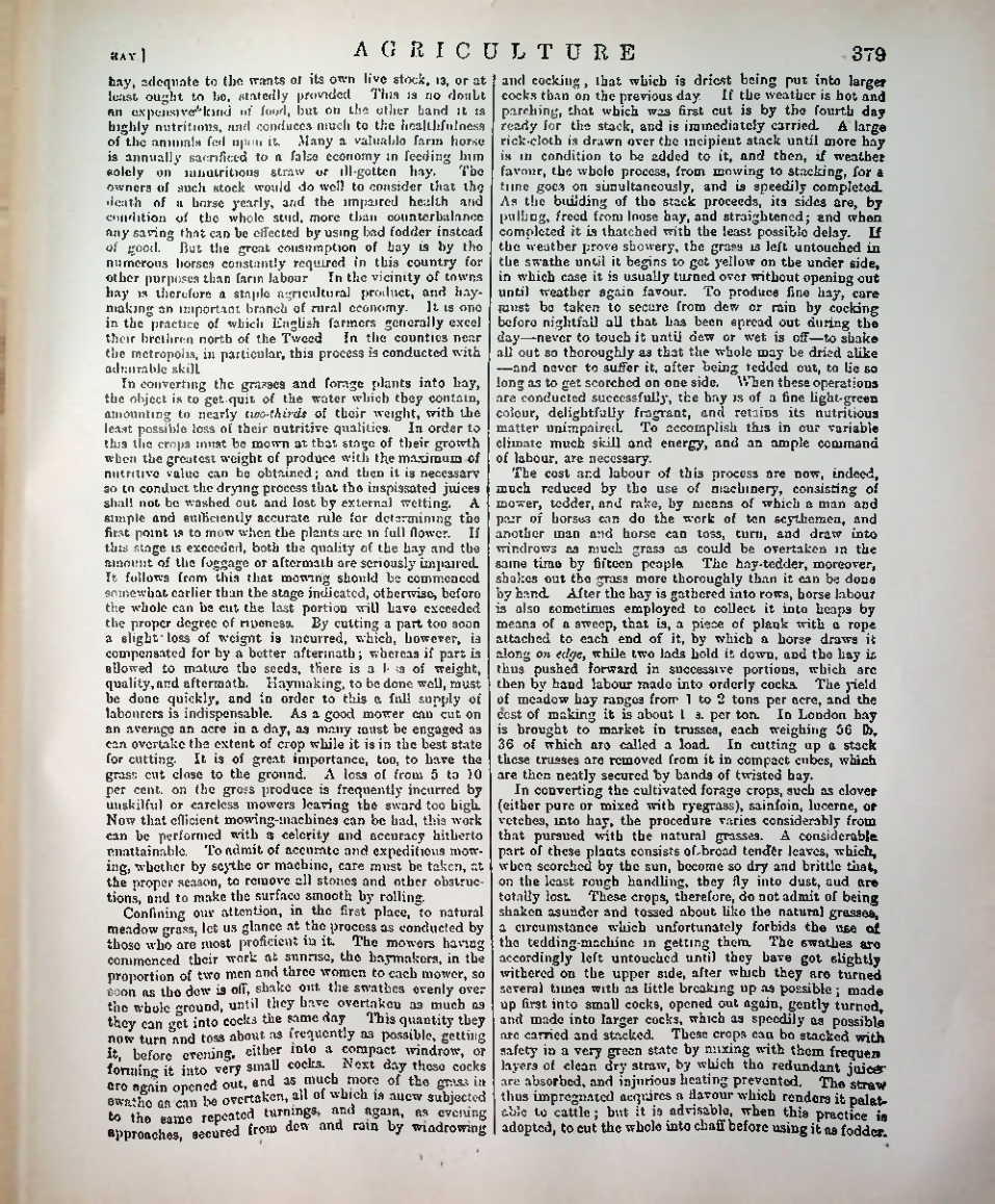 Страница 390