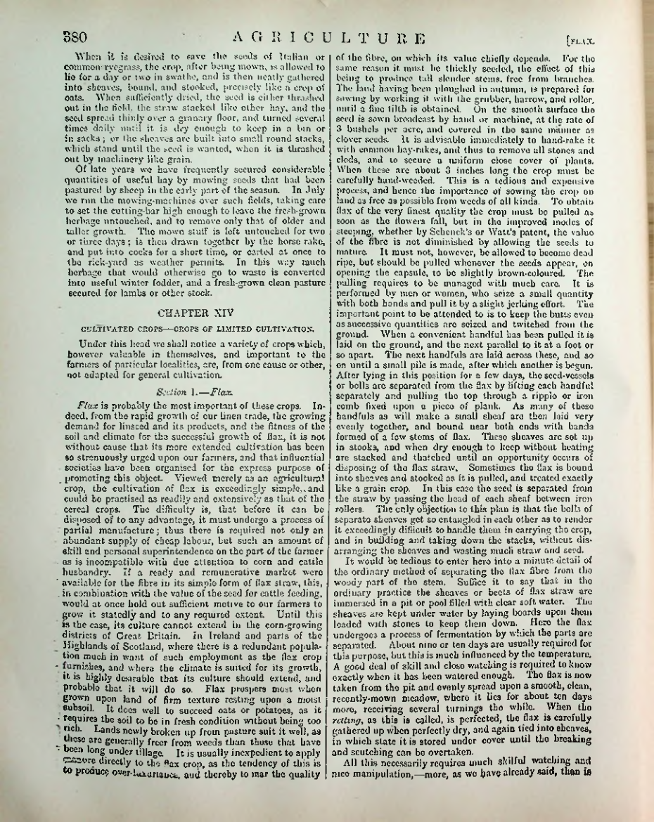 Страница 391