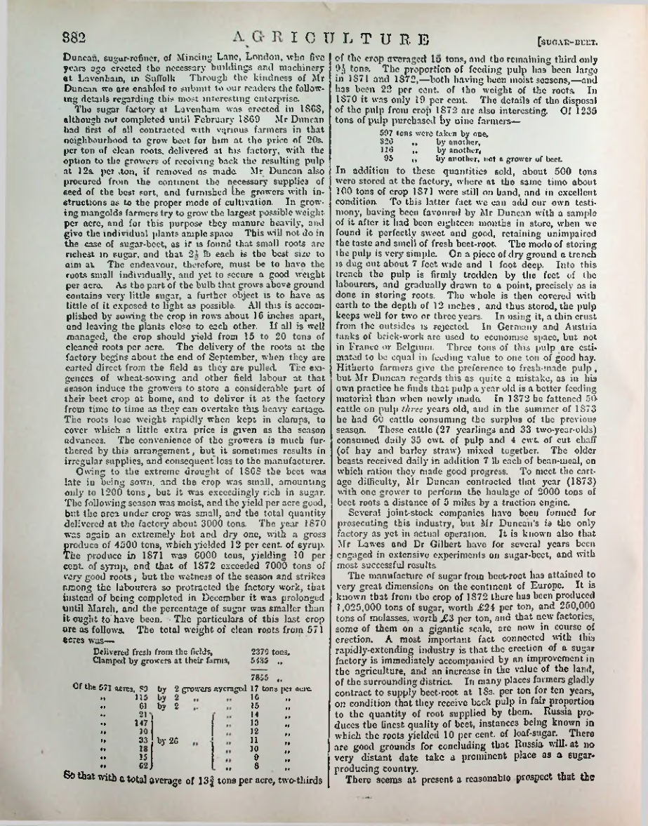 Страница 393