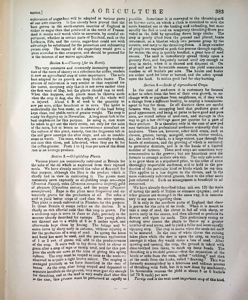Страница 394