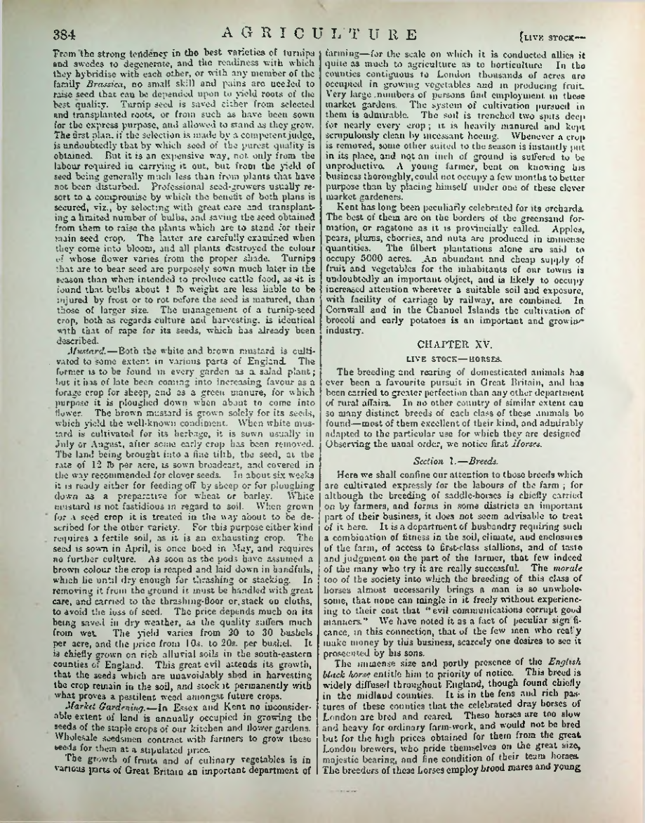 Страница 395