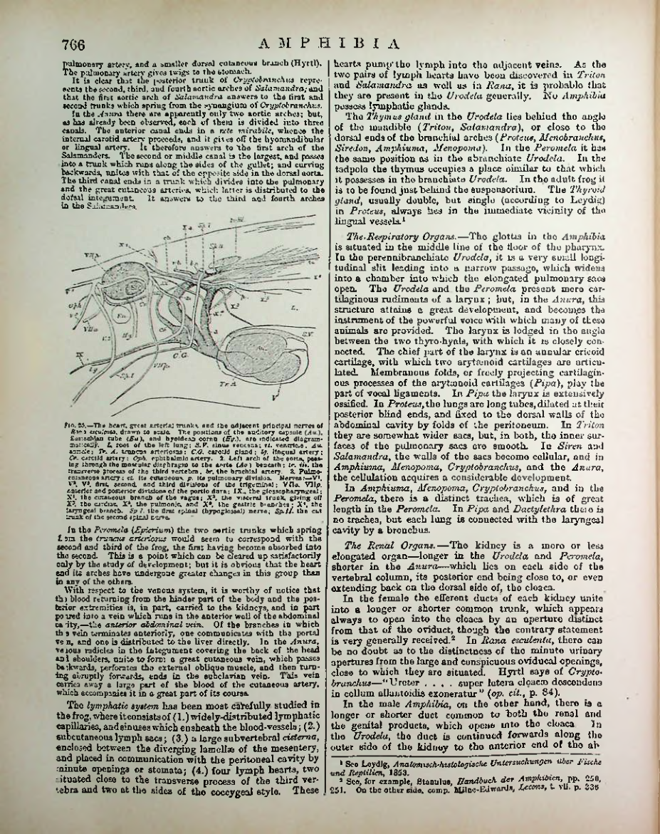 Страница 786