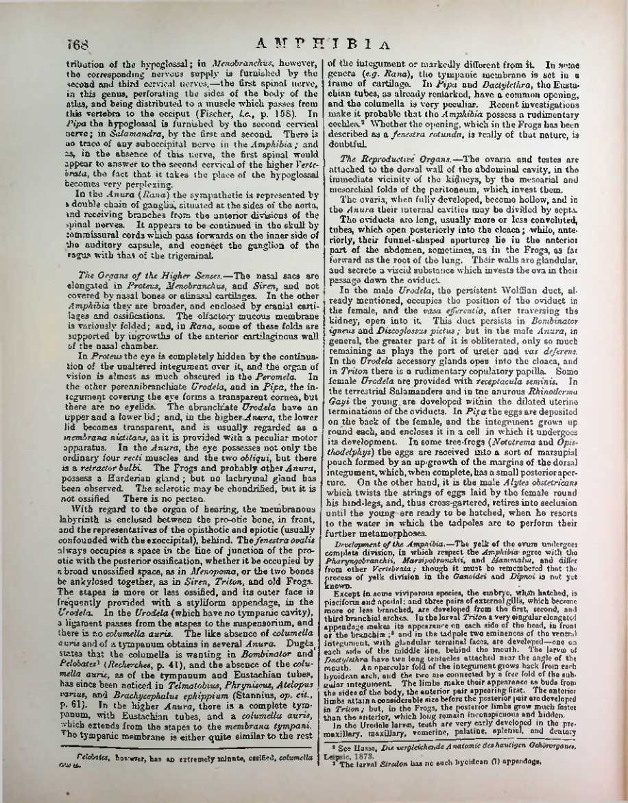 Страница 788