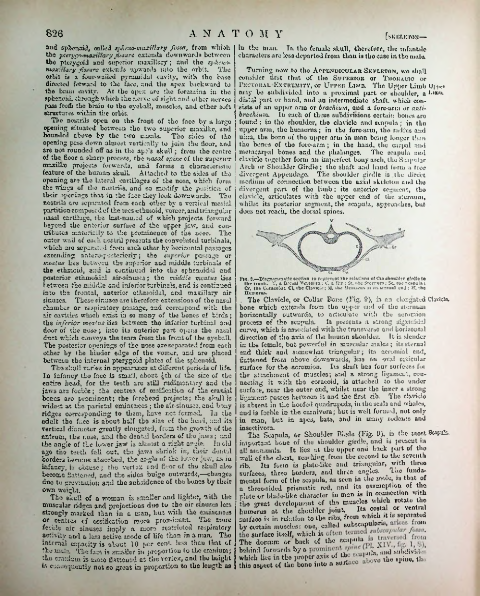 Страница 849