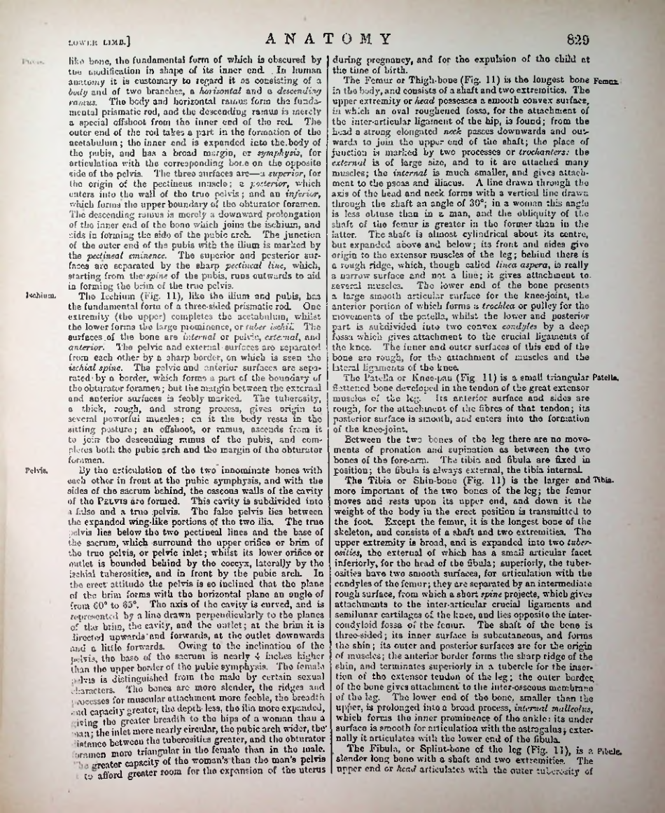 Страница 852
