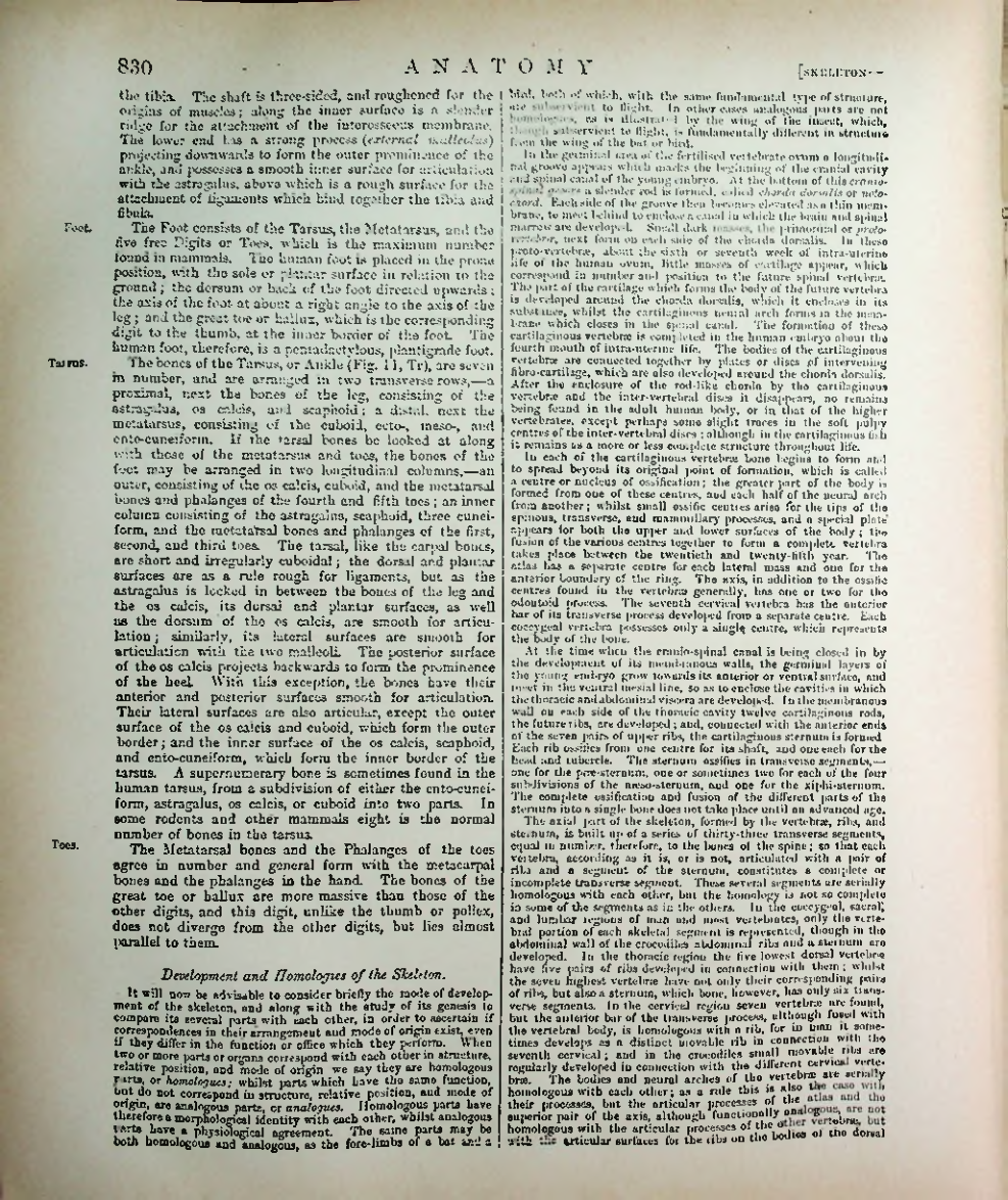 Страница 853