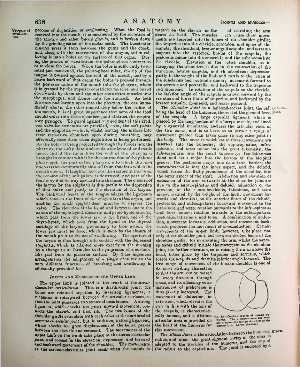 Страница 862