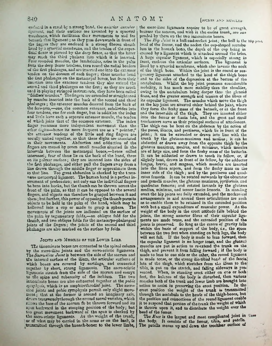 Страница 865