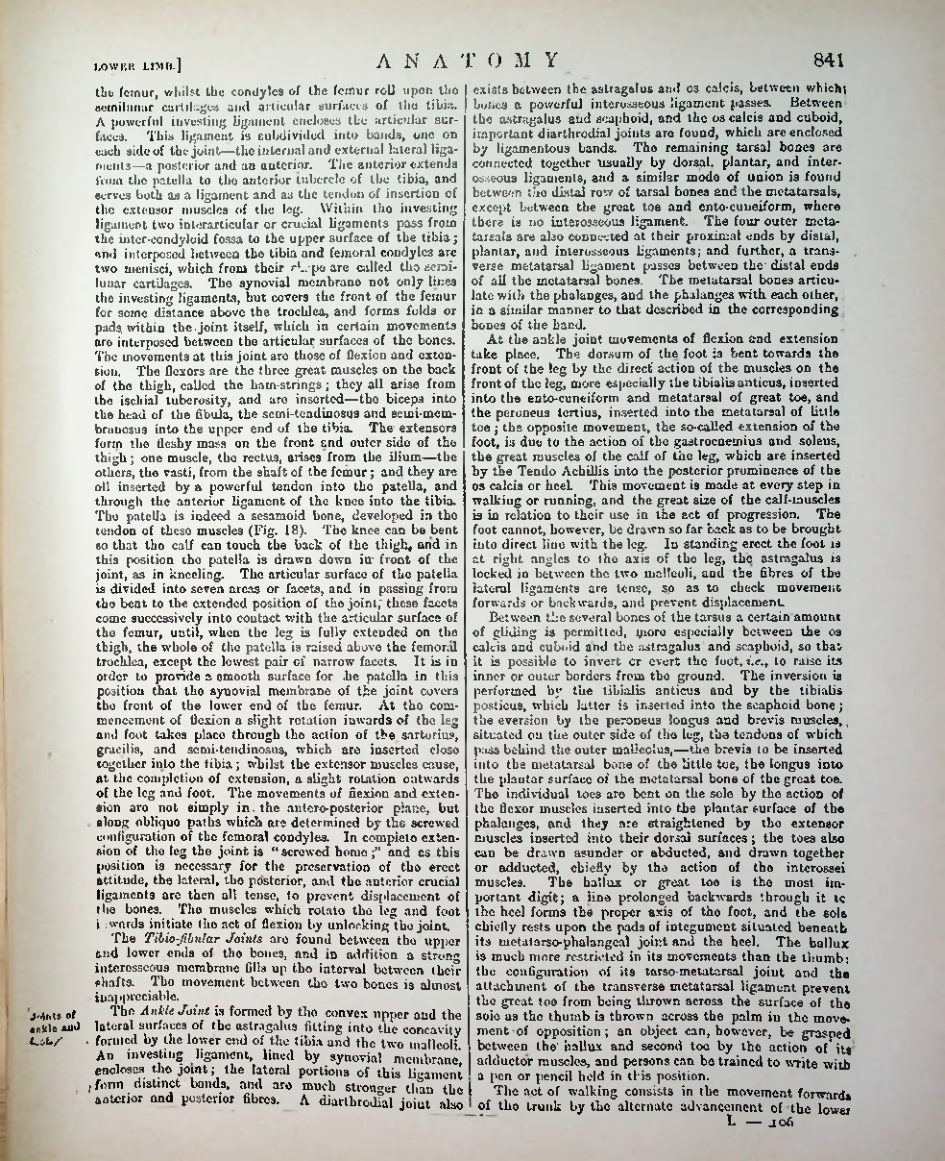 Страница 866