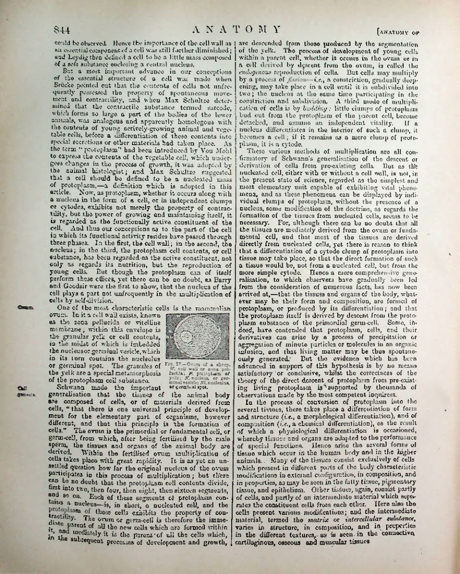 Страница 869