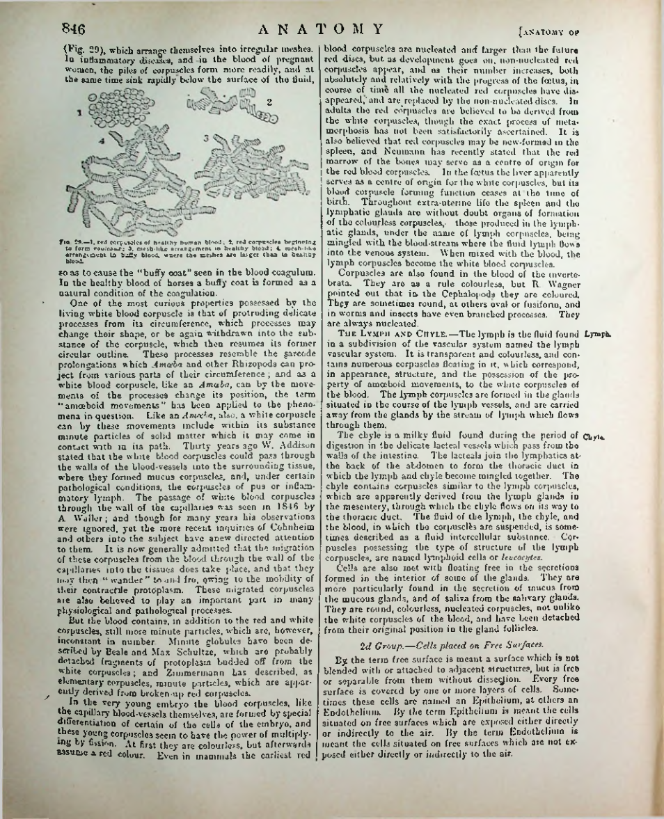 Страница 871
