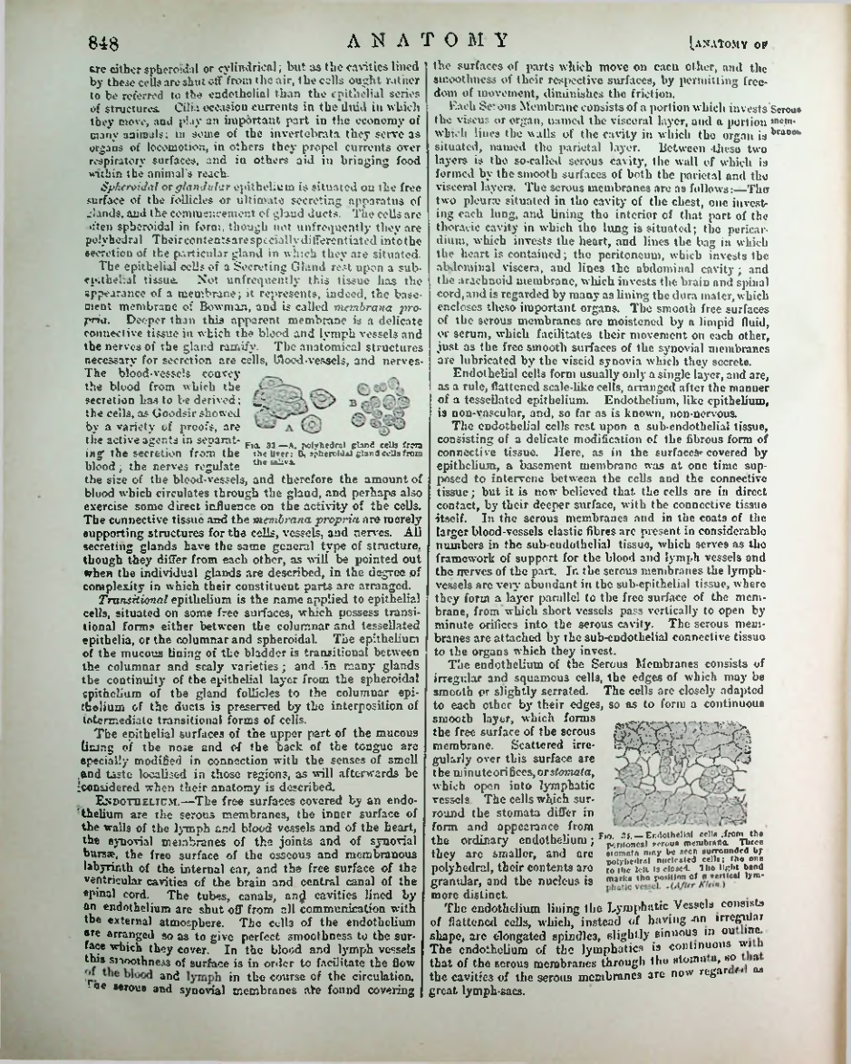 Страница 873