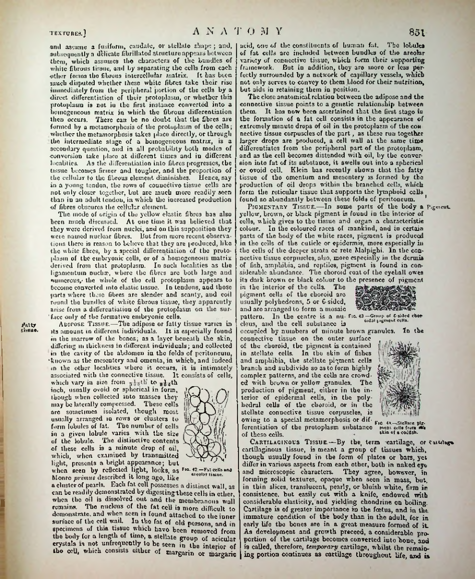 Страница 876