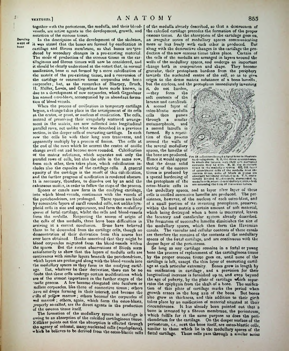 Страница 880