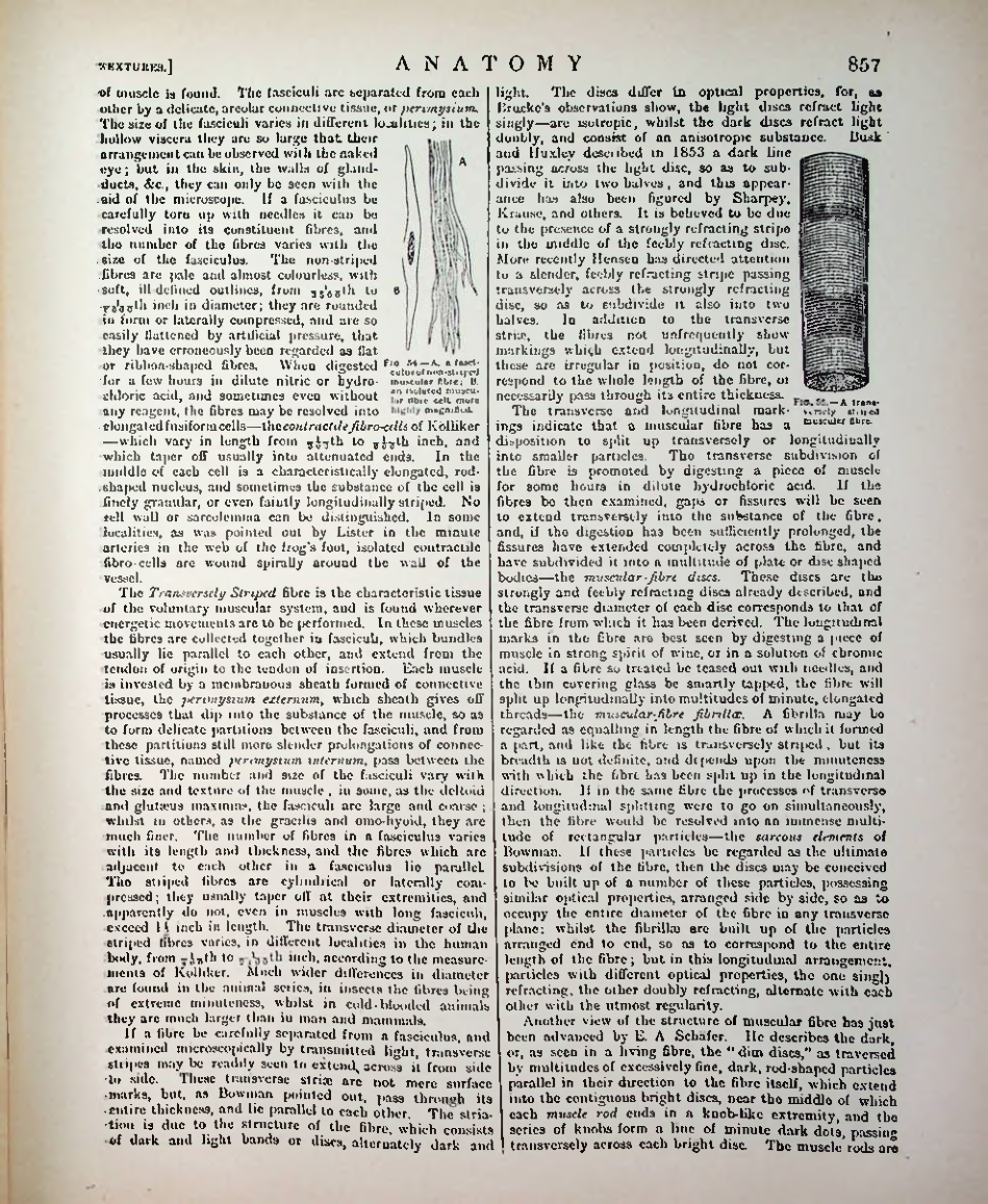 Страница 882