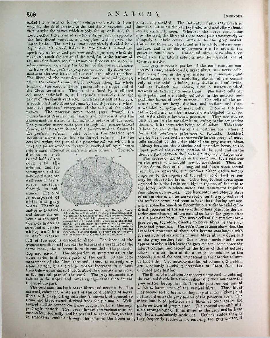 Страница 891