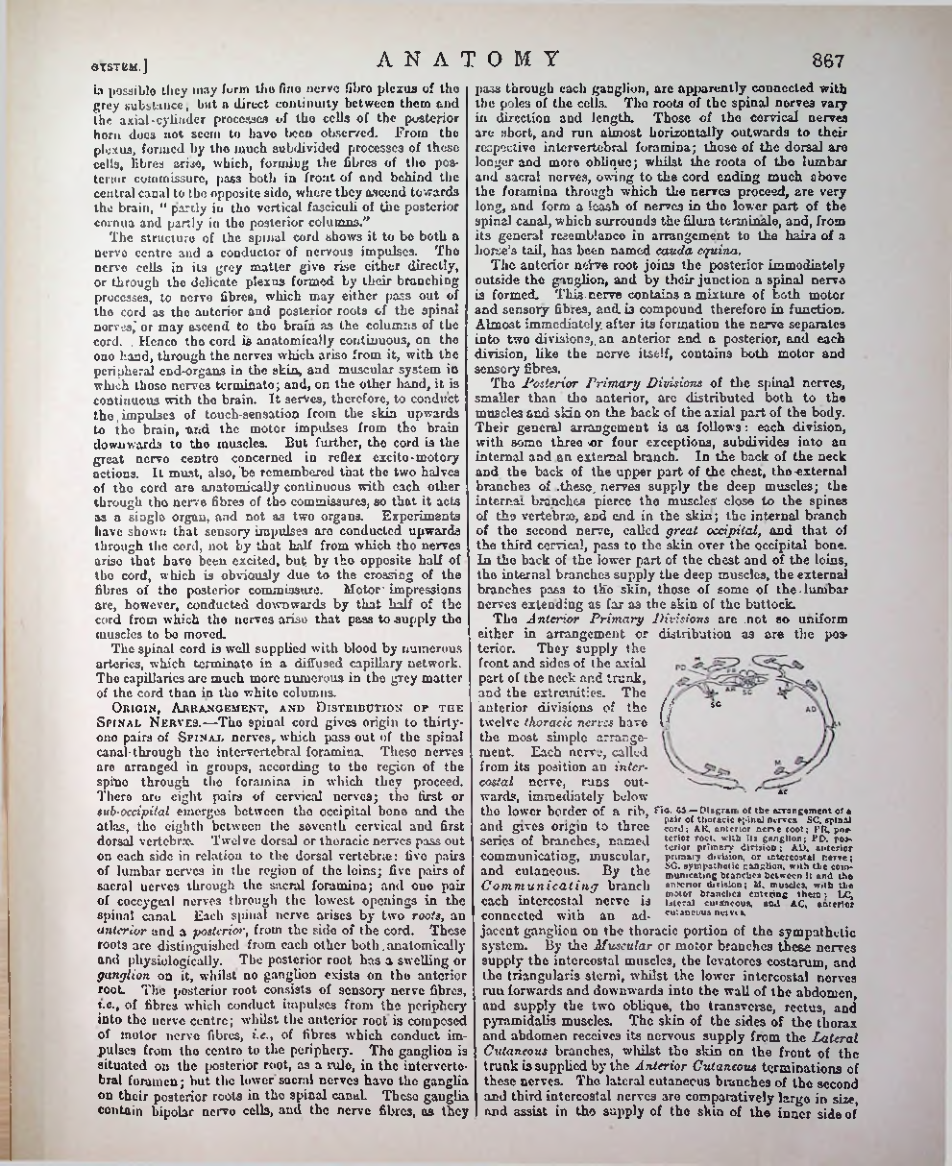 Страница 892