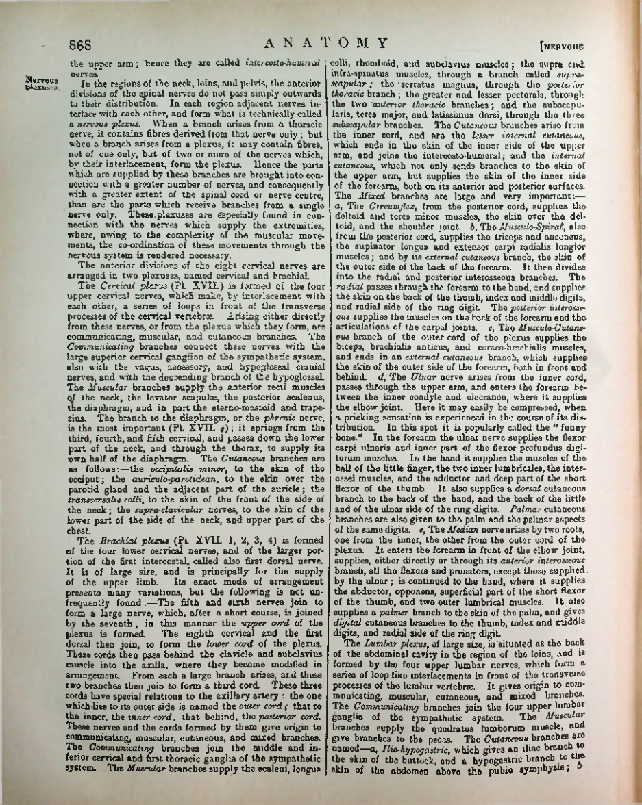 Страница 893