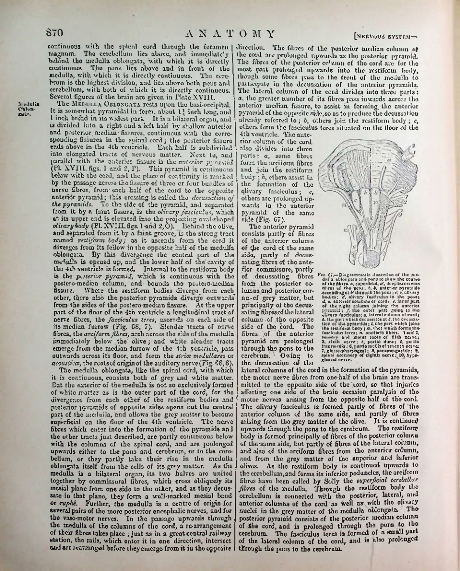 Страница 896