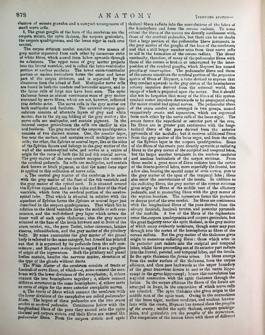 Страница 905