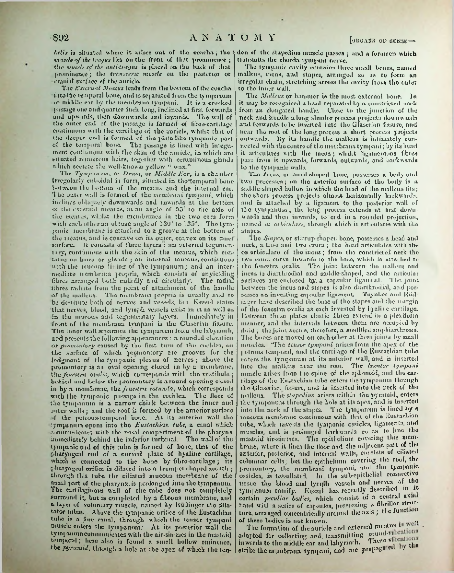 Страница 920