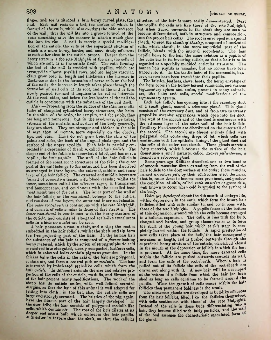 Страница 926